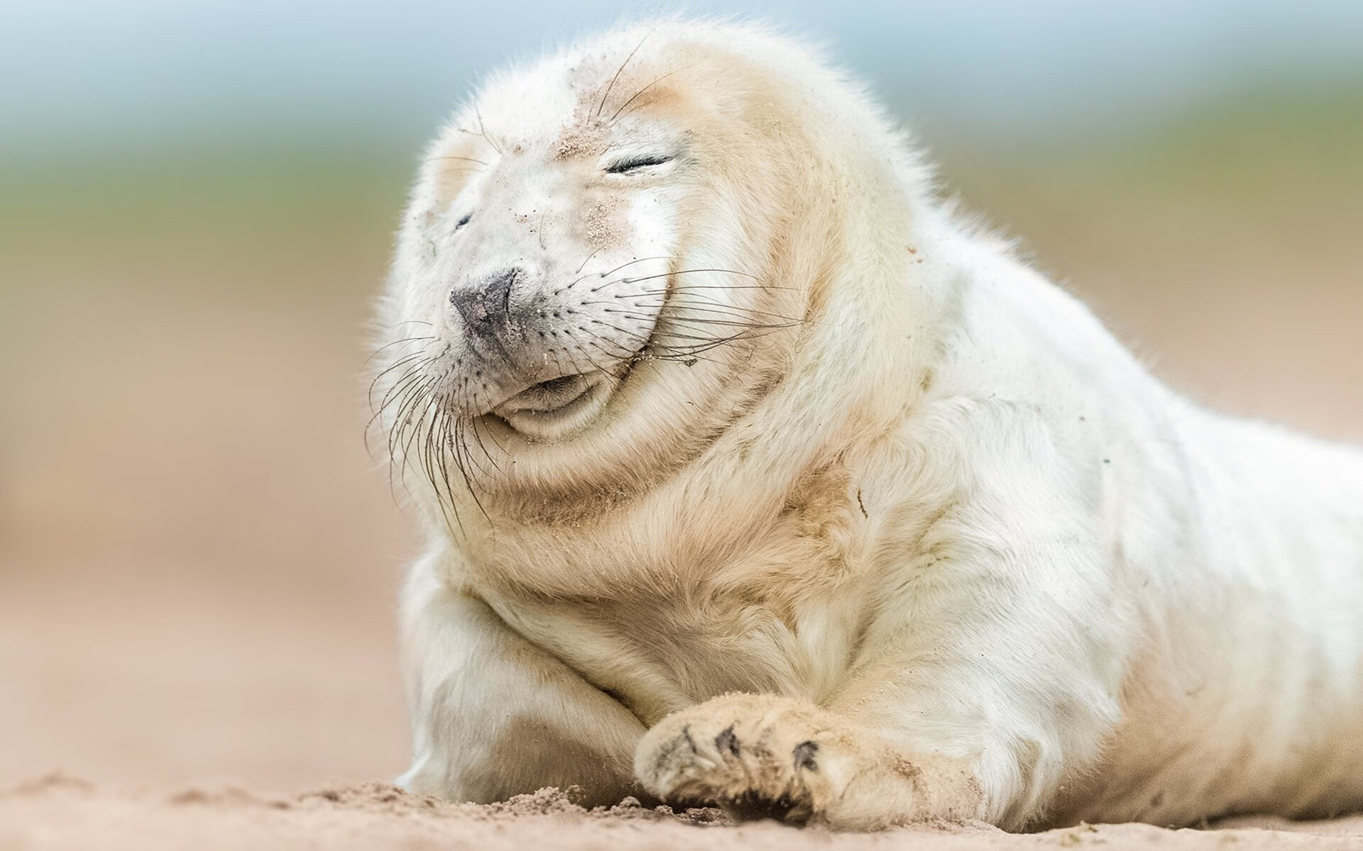 凯尔特人创“午夜训练计划”，球员自由安排战术加练，凯尔特人训练视频