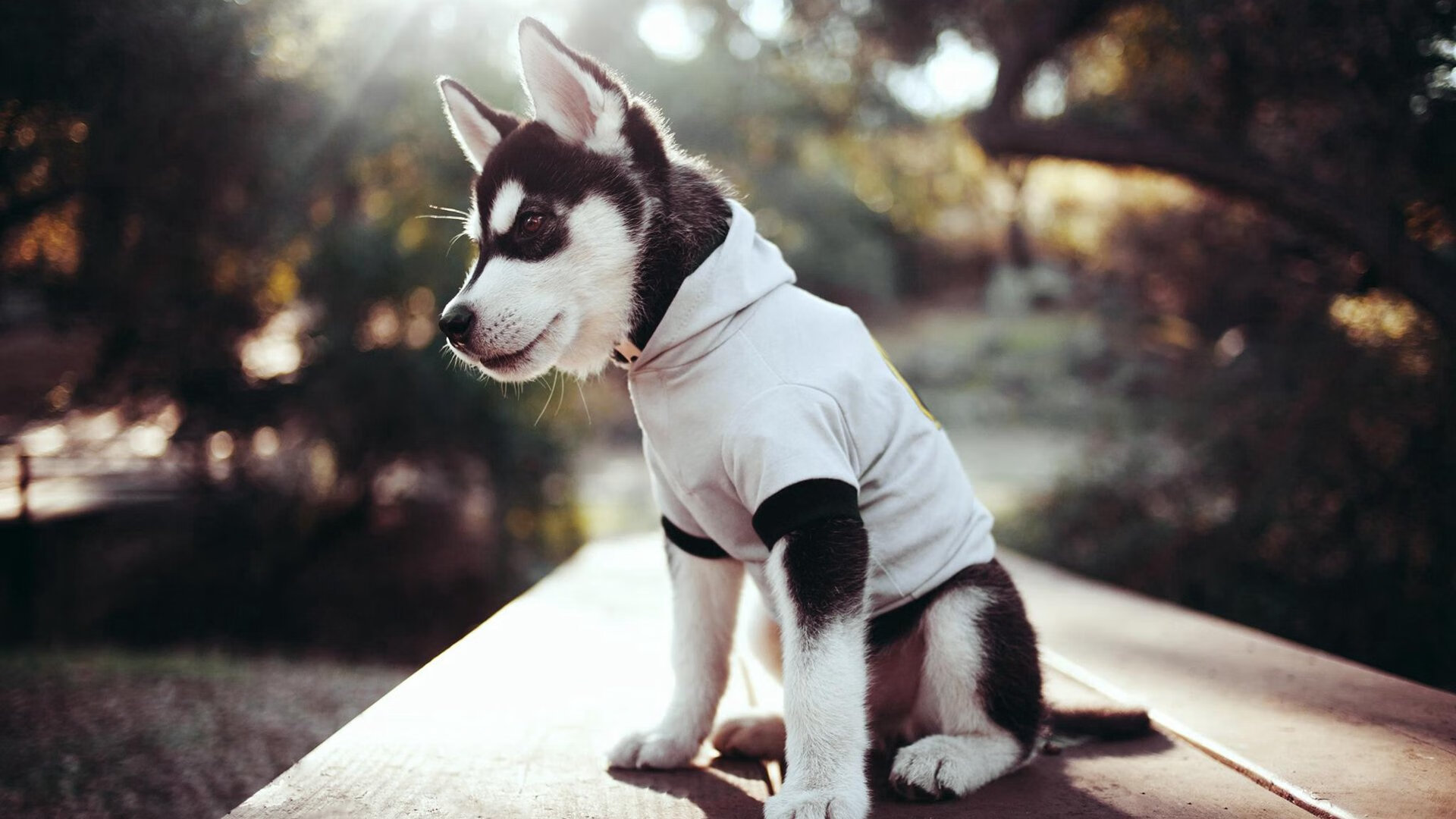 赛段地理奇观:沿途自然风光让人目不暇接