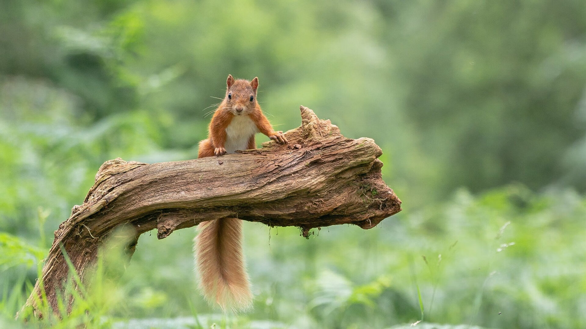 Kaiyun APP-青训激励方案不断完善，提升青少年参与足球运动的积极性，青少年足球青训大纲