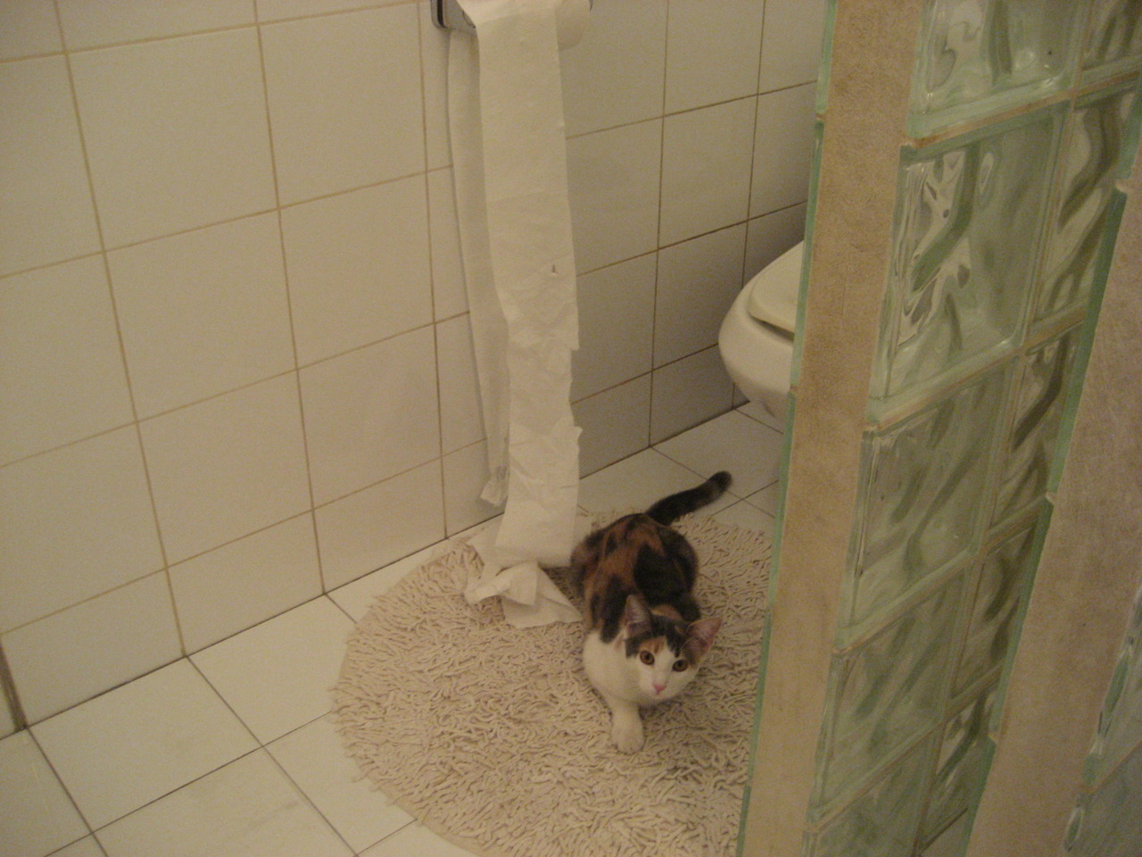 Gen.G粉丝活动热烈进行中,粉丝活动中心官网