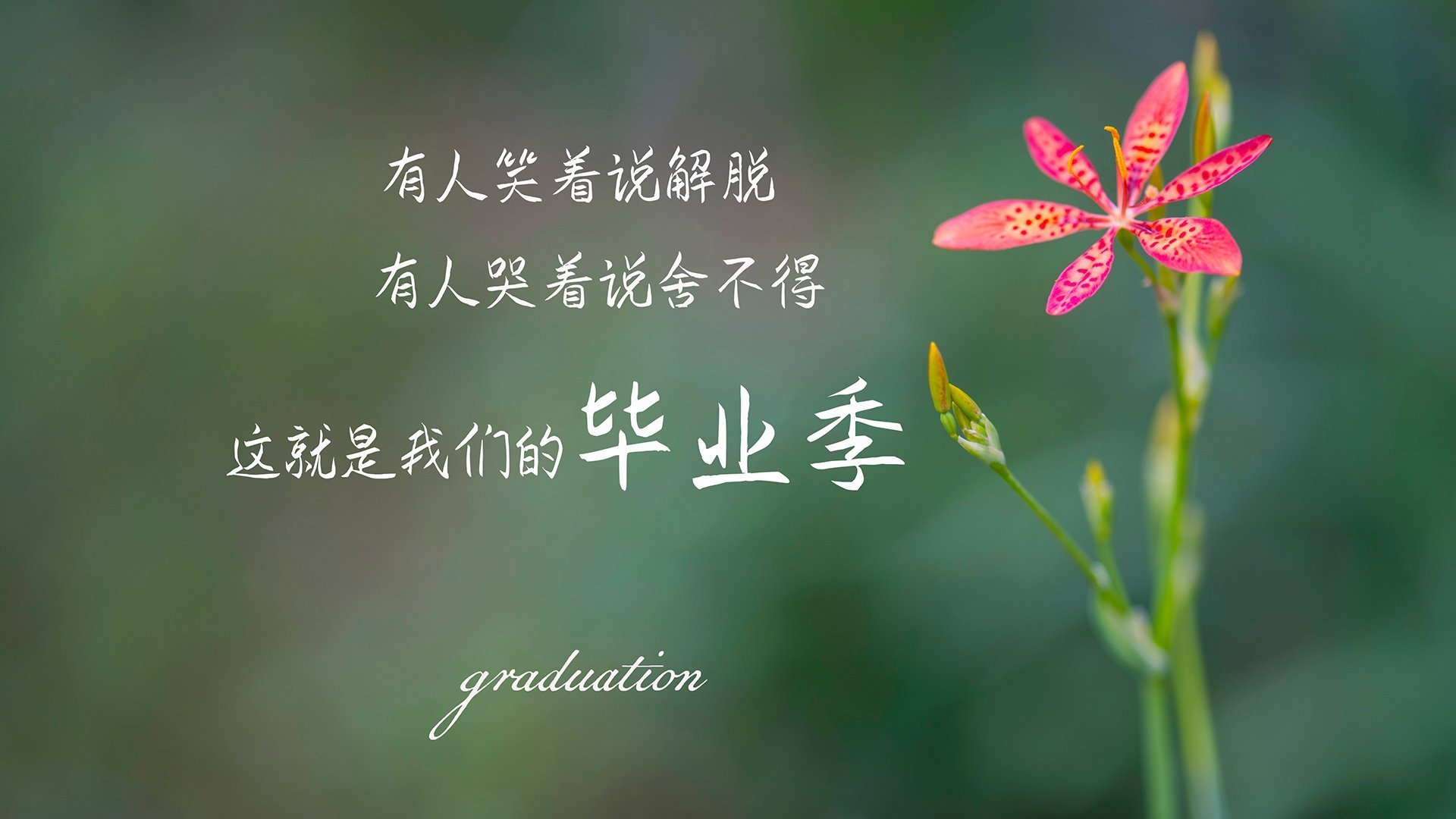 PSG.LGD赛季开局表现强劲,psg.lgd战队最新成员