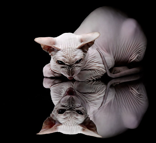 开云官方-乌拉圭男足在巴黎奥运会比赛中以4-0战胜美国，乌拉圭足球奥运会