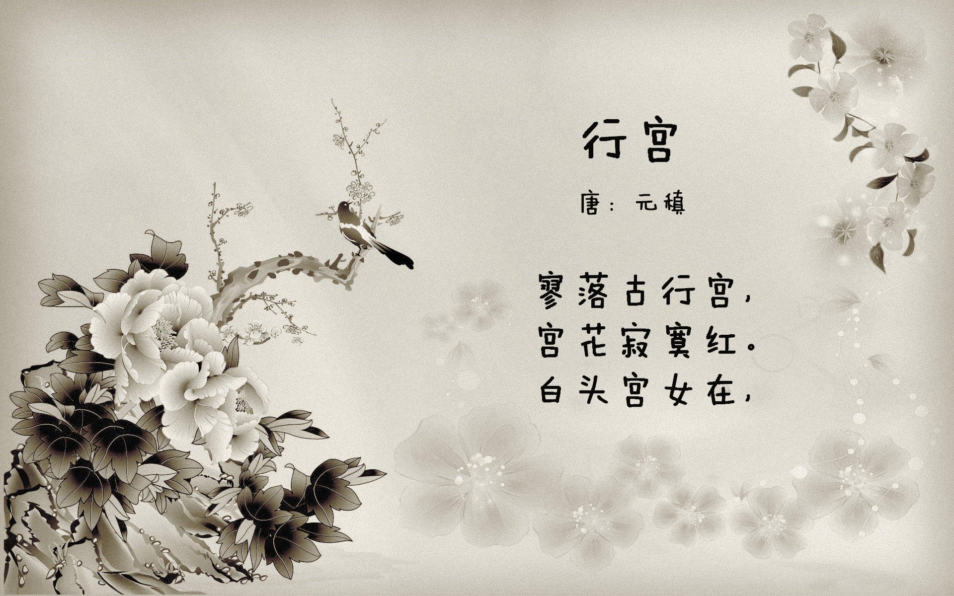 开云网页版登录入口-尤文图斯新援表现出色成为球队焦点，尤文图斯新引进球员