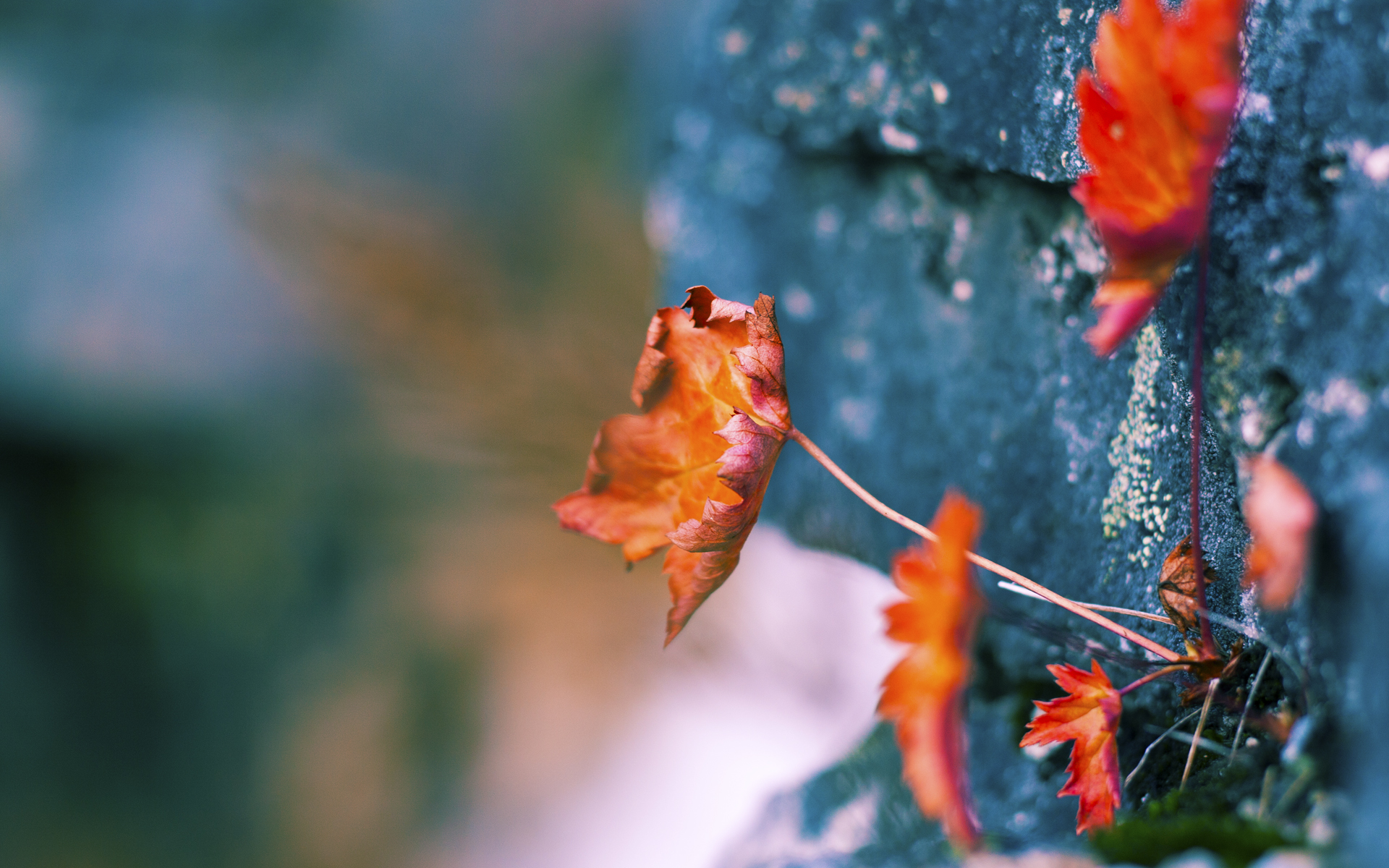 开云平台-巴萨门将出击失手，赫塔菲取得领先，西甲巴萨对赫塔菲