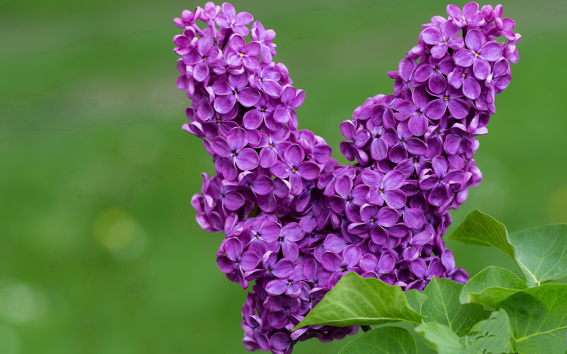 挑战者之路！黑马球队面对传统劲旅，黑马俱乐部创始人