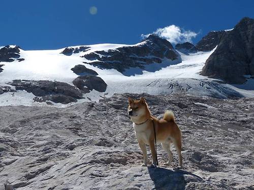 kaiyun官方入口登录-法国足球职业联赛球队火力全开，势不可挡，法国足球业余联赛