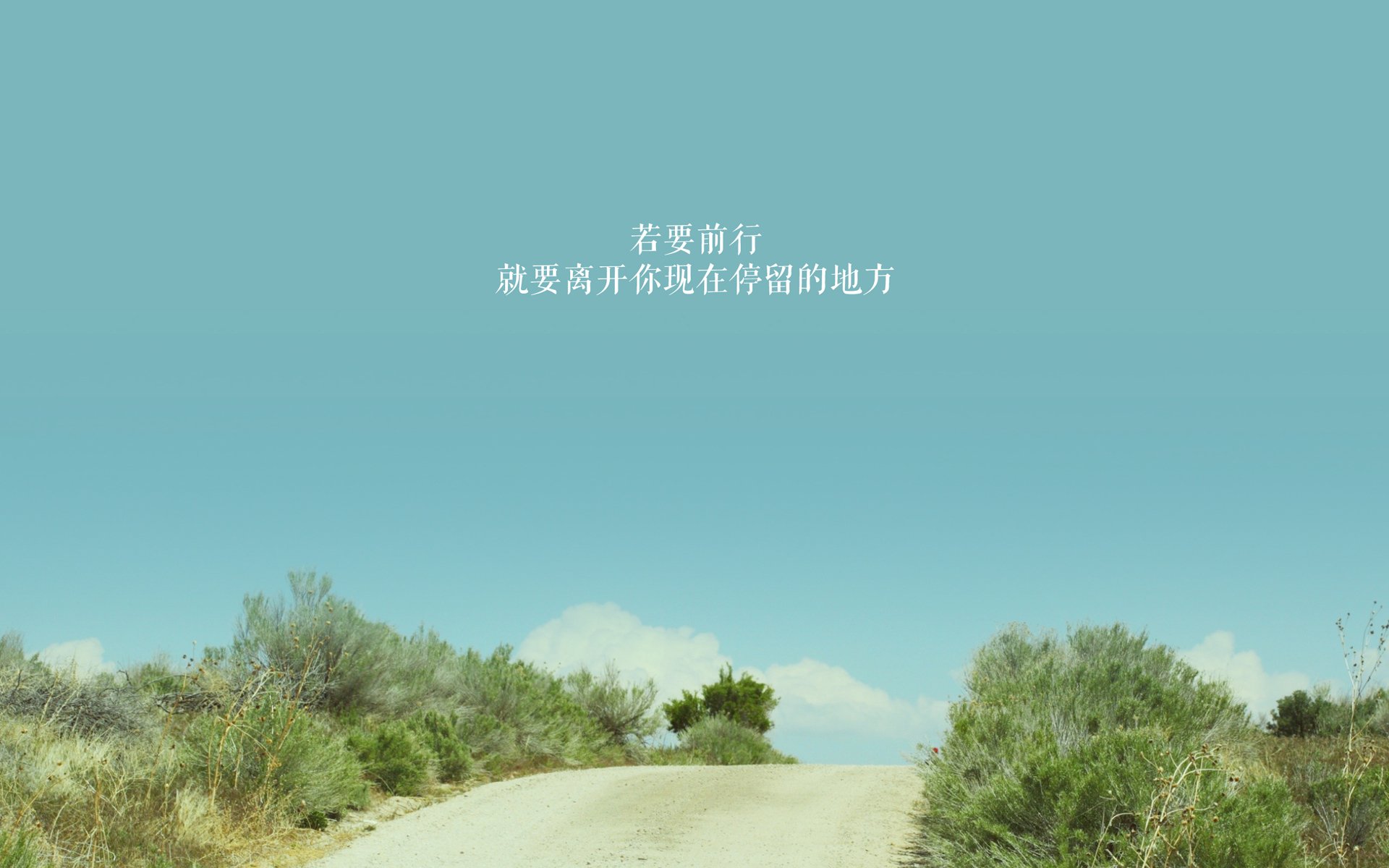 足球赛事更新:女足比拼的团队拼搏精神!,女足比赛名单