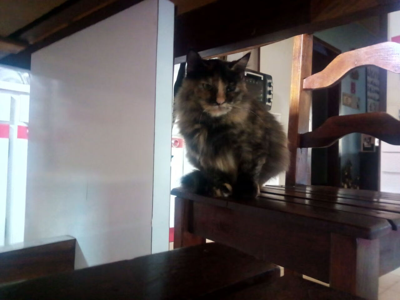 开云官网-马略卡主场1-0战胜西班牙人，收获三分，马略卡西乙赛程