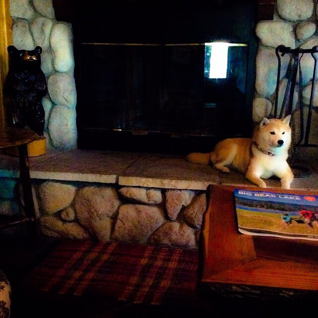 NBA联盟赛事运营安全风险管理,nba运营机制