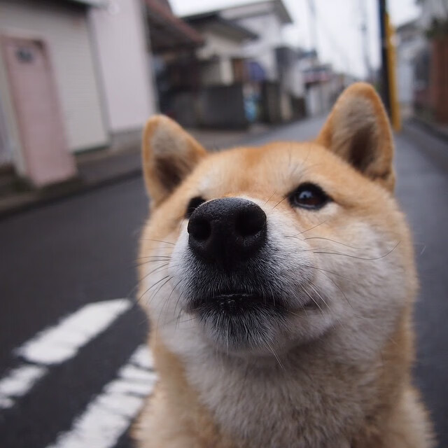 中国篮球职业裁判员培训与执法能力提升,中国篮球协会裁判员等级证书怎么考