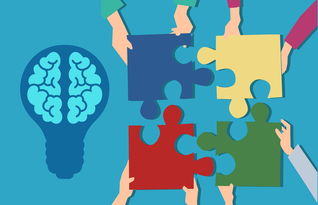 kaiyun官方网站-中小学课程内容创新，中小学创新教育