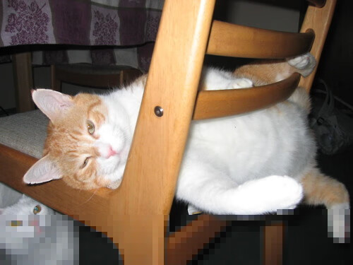 开云入口-体育产业政策执行情况分析，体育产业政策文件汇编