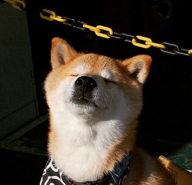 亚冠联赛中国队晋级 球员表现广受好评,中国亚冠资格