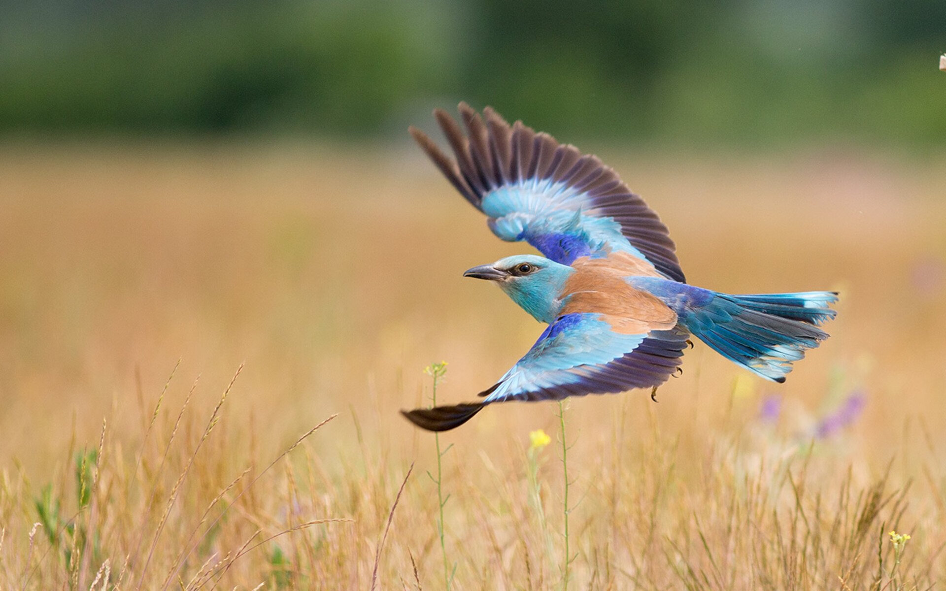 国家队整体战斗力提升难点,国家队战斗姿势