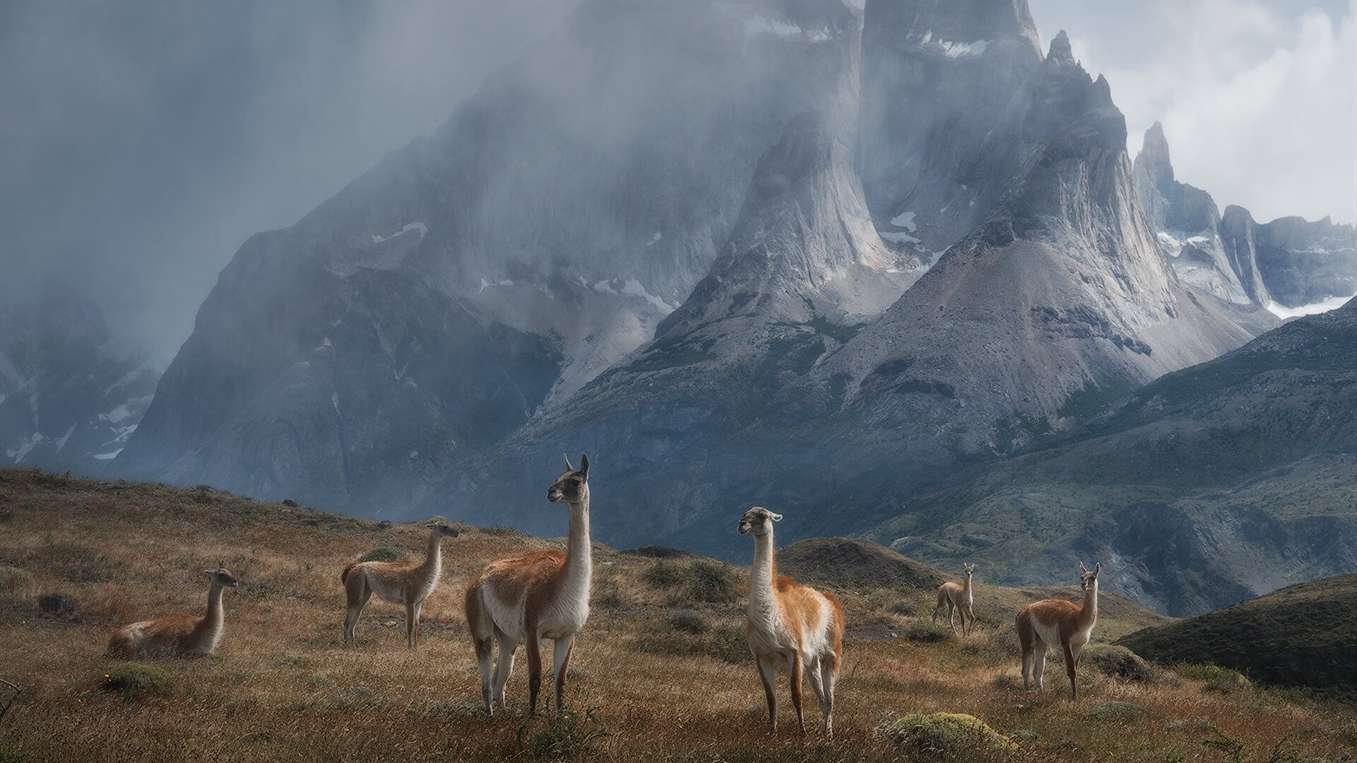 职业联赛竞争力与资金投入成正比吗,竞技职业联赛