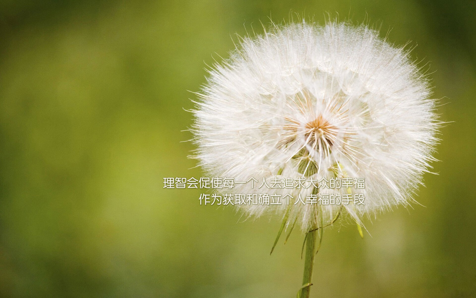 “胡利安·门德斯的全能进攻,帮助阿根廷美洲狮队登上世界巅峰”