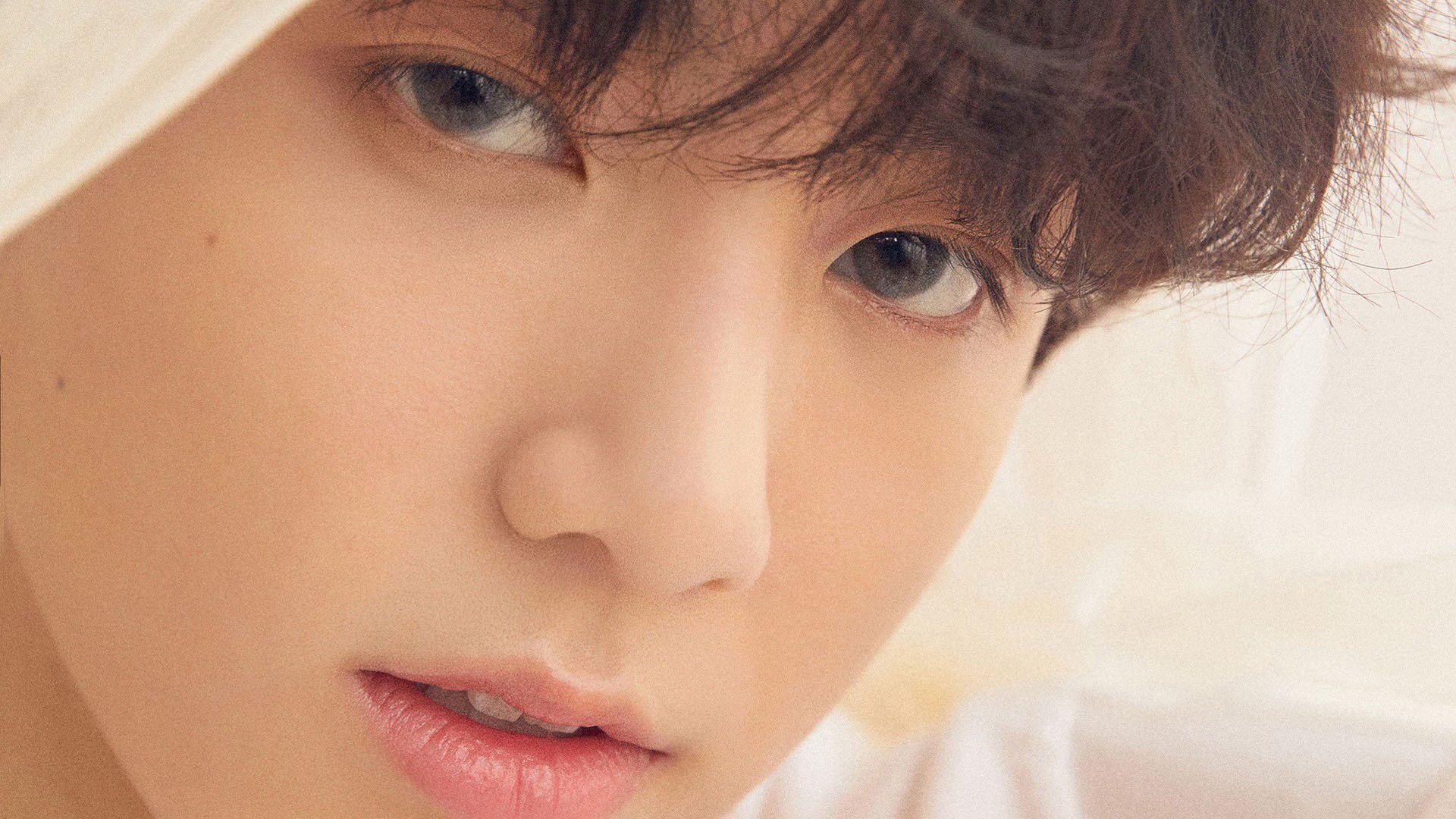 世界杯血战到底：战术与勇气的完美融合，世界杯热血