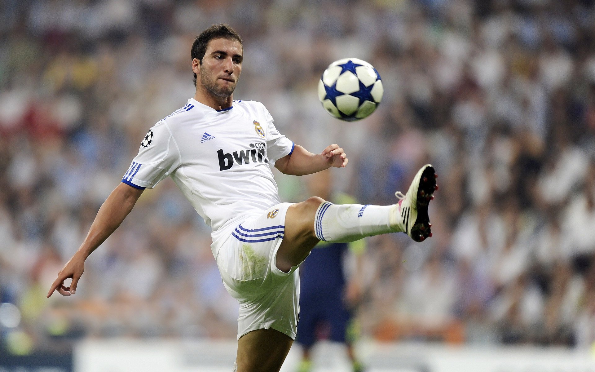 kaiyun开云·官方网站-大卫·波波维奇冲刺阶段力压群雄，大卫波茨杆怎么样