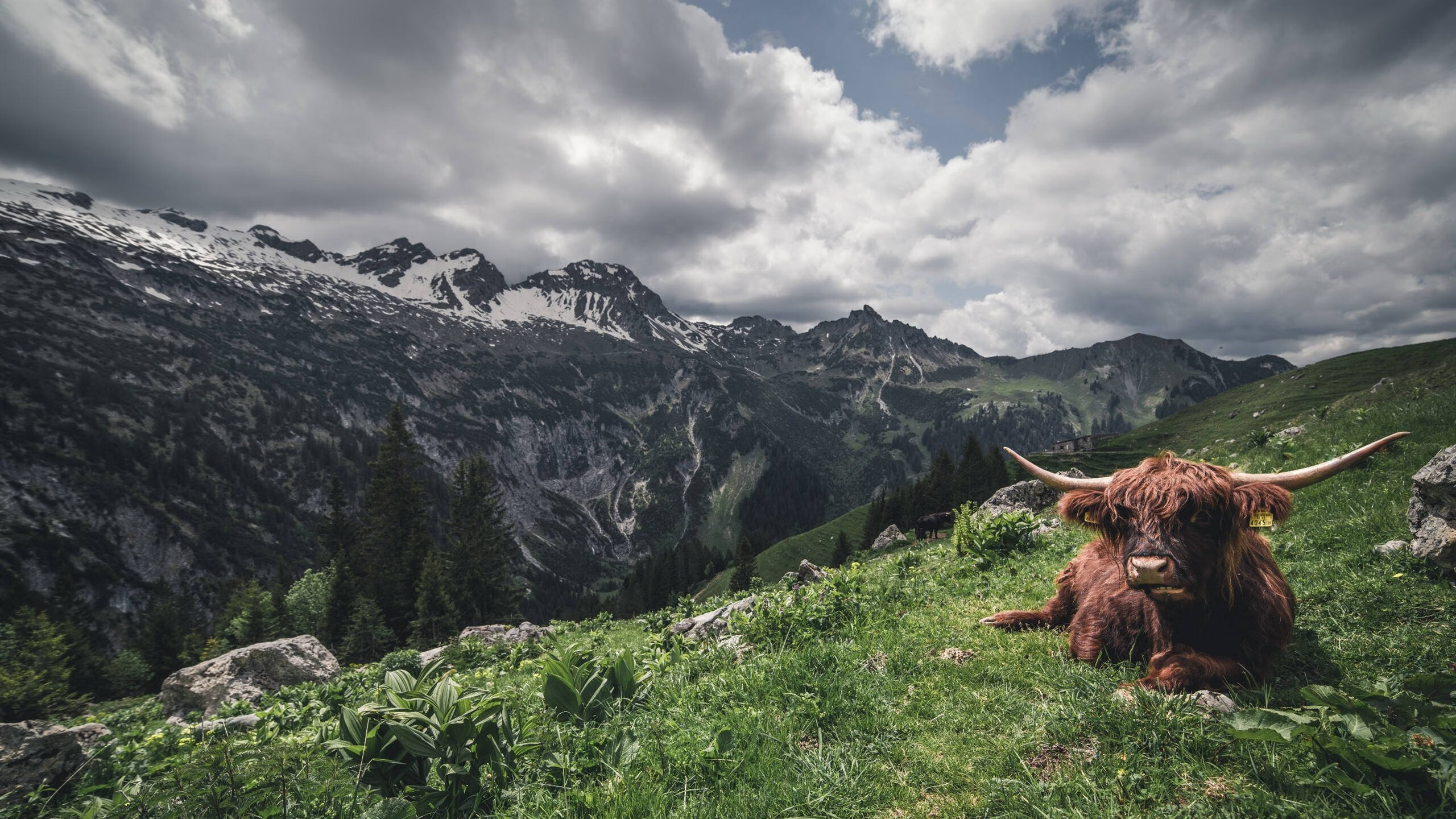 女子排球联赛积分榜形势突变,女子排球联赛排名