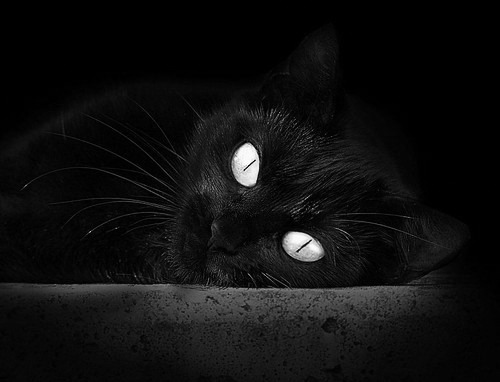 Kaiyun APP-英超激情来袭：激情、努力、胜利一线之间，英超qg