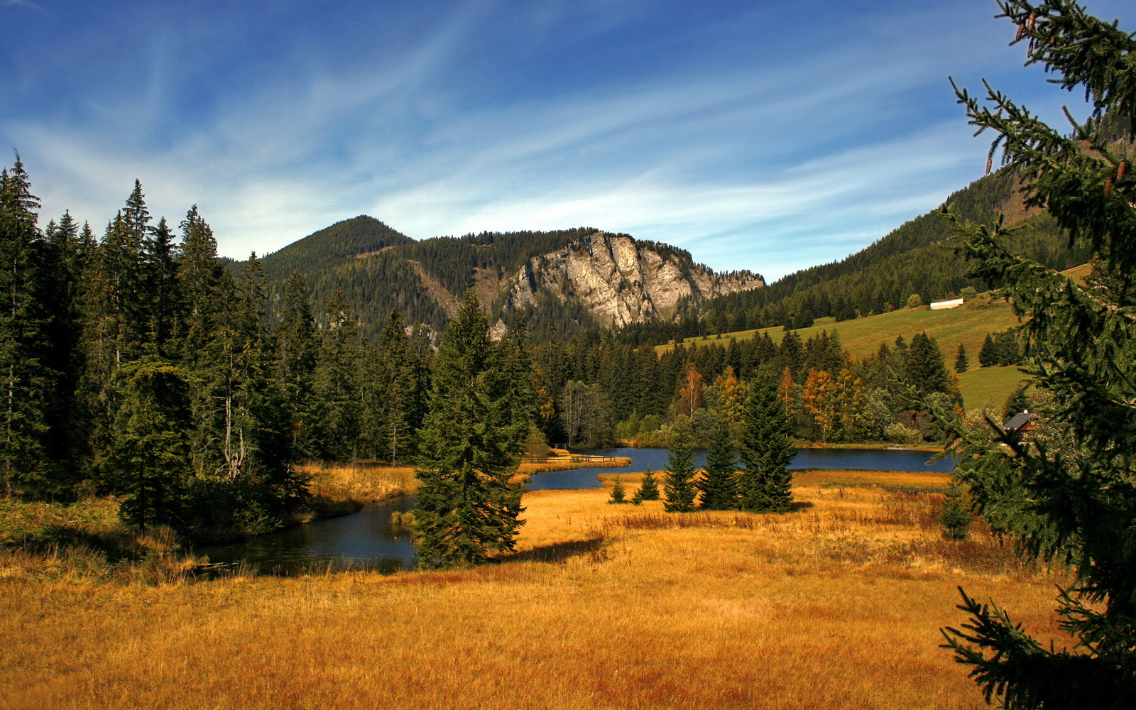 赞比亚男篮在非洲预赛中拼搏不息,迈向更高舞台,赞比亚小组赛