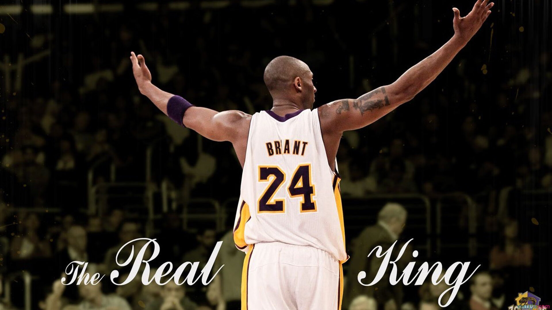 赛事背后组织团队默默付出确保每一环节有序推进