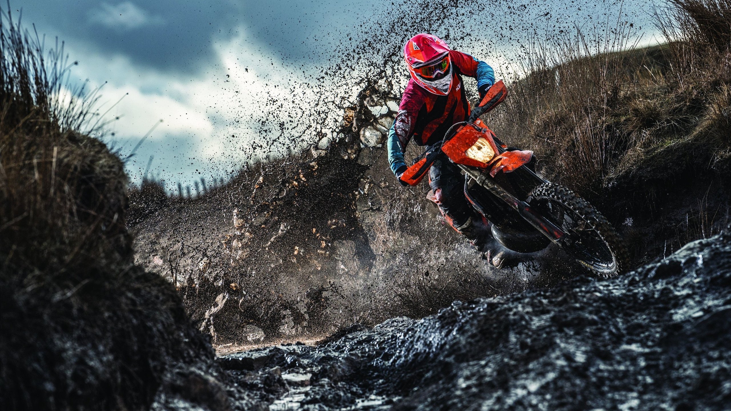 高校体育专业课程体系改革，高校体育课程建设